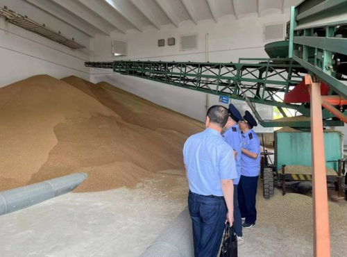 違規(guī)收購糧食被罰10萬元，南京公布一批典型案例加強糧食市場管理